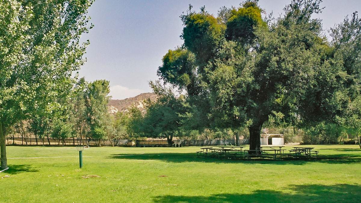A lush, green company picnic space with enormous oak trees providing ample shade for company picnics.