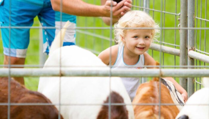 Petting zoos and wildlife shows can be memorable and exciting experiences for your guests.