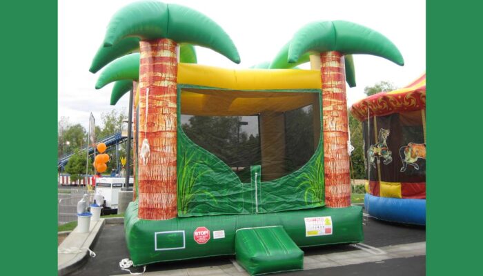 Kids just love to bounce - and at James Event Productions, so do we! We have a large collection of bounce houses in all shapes, sizes, colors and themes.